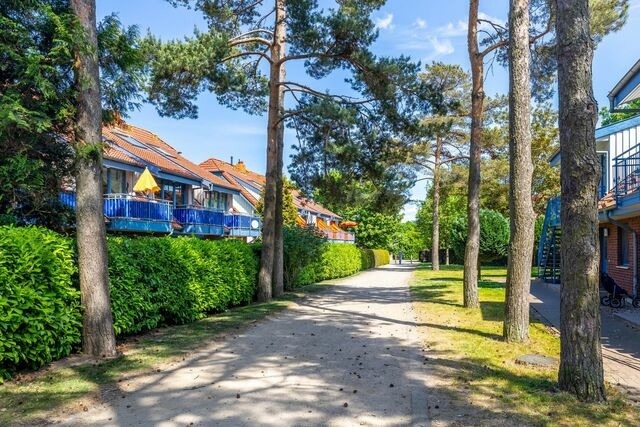 Ferienwohnung in Boltenhagen - Papillon 7-6 Wohnung "kleine Heimat" - Bild 23