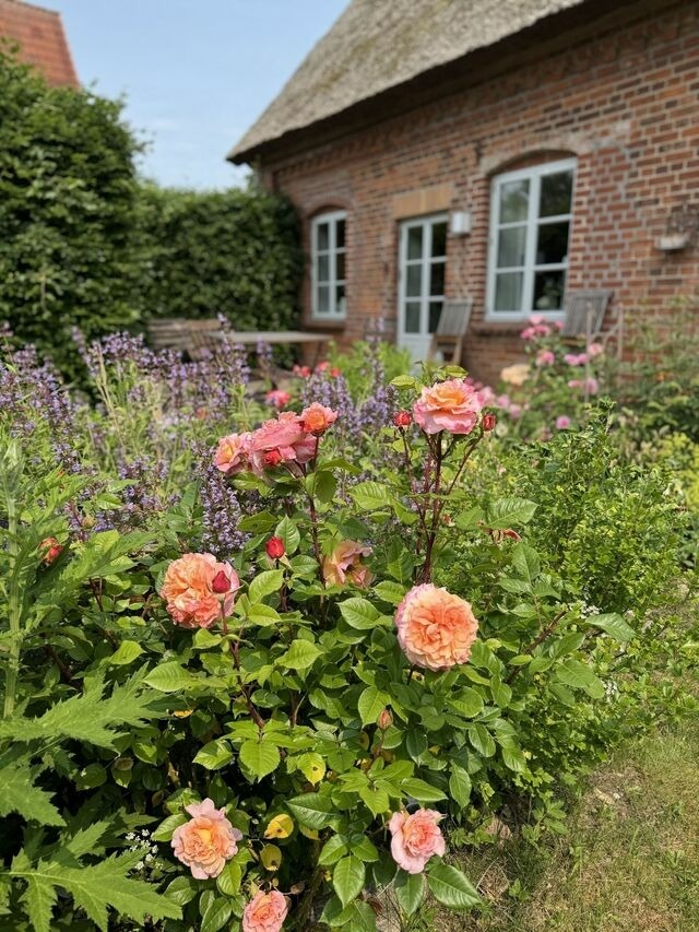 Ferienwohnung in Bad Kleinen - Kutscherremise Gut Niendorf - ABC592 - nur Ferieng&auml;ste! - Bild 23