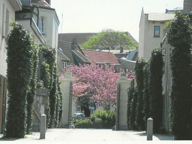 Ferienwohnung in Wismar - Altstadtsonne 1 - ABC33 - nur Ferieng&auml;ste! - Bild 13