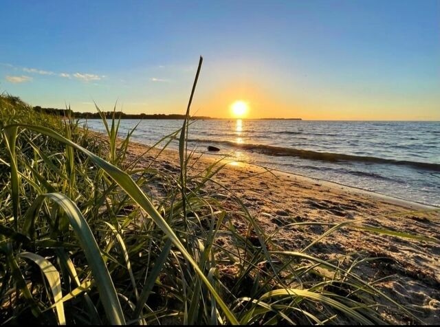 Ferienwohnung in Zierow - Kaj&uuml;te am Strand - ABC57 - Nur Ferieng&auml;ste! - Bild 6