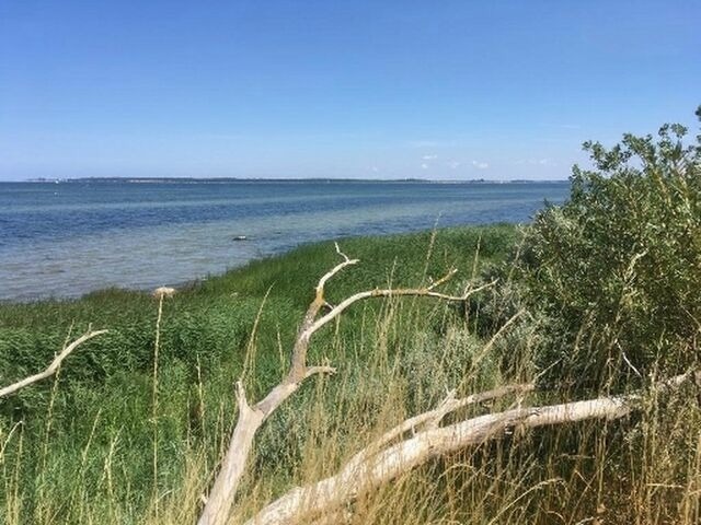 Ferienhaus in Hohen Wieschendorf - Strandhaus Fiete - Haus Walfisch - ABC330 - Bild 12