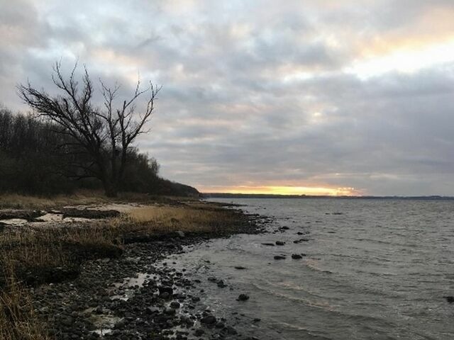 Ferienhaus in Hohen Wieschendorf - Strandhaus Fiete - Haus Walfisch - ABC330 - Bild 19