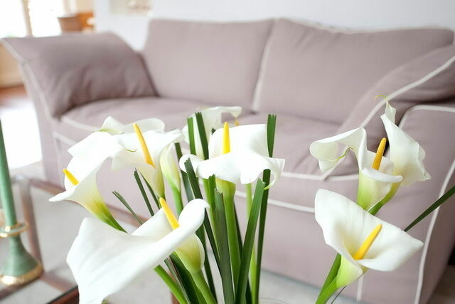 Ferienhaus in Sellin - Landhaus Gernitz - Bild 8