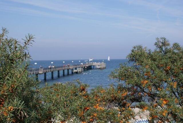 Ferienwohnung in Hohen Wieschendorf - Auszeit - ABC208 an der Ostsee - Bild 17