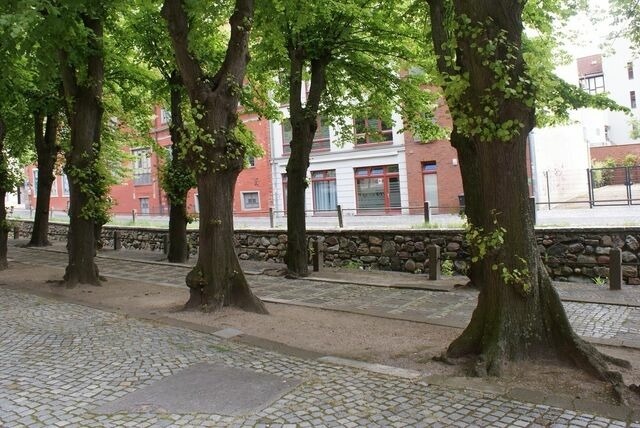 Ferienwohnung in Wismar - NikolaiTraum in der Altstadt - ebenerdig - ABC295 - Bild 14