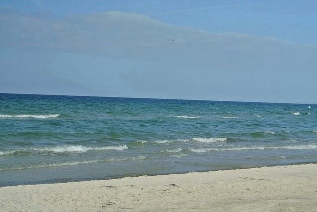 Ferienwohnung in Beckerwitz - Muschelsucher - S&uuml;nnenkieker WE10 - ABC250 - nur Ferieng&auml;ste! - Bild 12