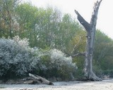 Ferienwohnung in Beckerwitz - Muschelsucher - S&uuml;nnenkieker WE10 - ABC250 - nur Ferieng&auml;ste! - Bild 13