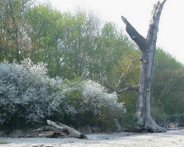 Ferienwohnung in Beckerwitz - Muschelsucher - S&uuml;nnenkieker WE10 - ABC250 - nur Ferieng&auml;ste! - Bild 13