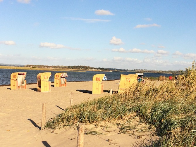 Ferienwohnung in Gollwitz - Spatzennest - Gollwitzer Strand