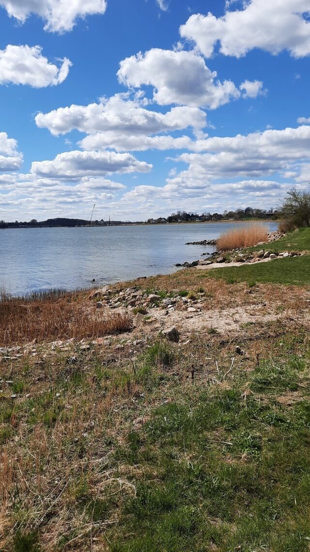 Ferienwohnung in Lindaunis - Haus Hygge - Ferienwohnung Hering - Bild 16