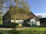 Ferienwohnung in Twedt - Hof L&uuml;cke - Ferienwohnung Natur - Bild 12