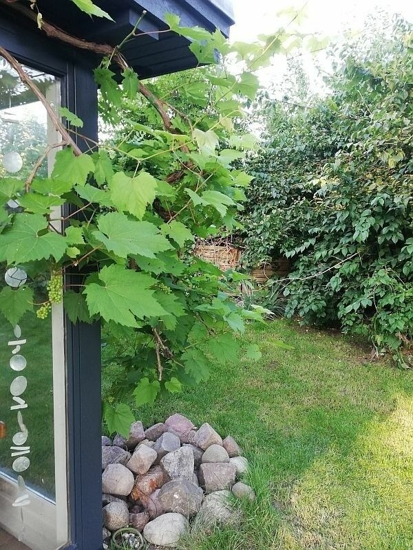 Ferienwohnung in Kappeln OT Ellenberg - Ferienwohnung Kapit&auml;nsblick - Bild 18