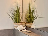 Ferienwohnung in Zingst - 54 Grad - Bild 15
