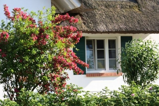 Ferienwohnung in Born a. Dar&szlig; - Moin Moin - Bild 11