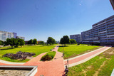 Ferienwohnung in Heiligenhafen - Ferienpark - Haus K, App. 0K0101 - Bild 2