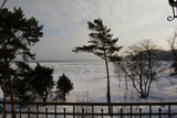 Ferienwohnung in Binz - Villa Stranddistel, Whg. 32 - Bild 10