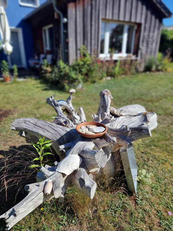 Ferienwohnung in Fuhlendorf - Fischohr Studio - Nichtraucher Grundst&uuml;ck - Bild 14